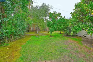 1812 Baldwin Dr, Concord, CA 94519 - Photo 36