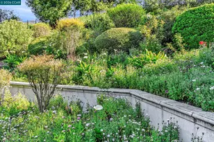 4053 Sugar Maple Dr, Danville, CA 94506 - Photo 40