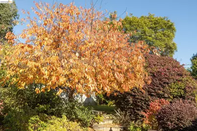 4452 Davenport Ave, Oakland, CA 94619 - Photo 24