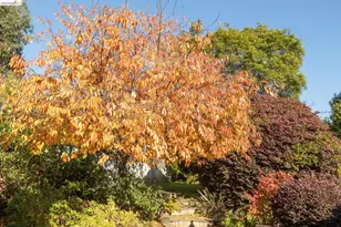 4452 Davenport Ave, Oakland, CA 94619 - Photo 24