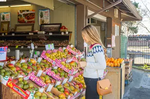 28968 Parkridge Loop, Hayward, CA 94544 - Photo 34