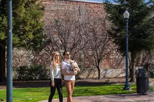 28968 Parkridge Loop, Hayward, CA 94544 - Photo 32