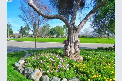 319 Pearl Dr, Livermore, CA 94550 - Photo 44