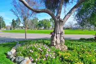 319 Pearl Dr, Livermore, CA 94550 - Photo 44