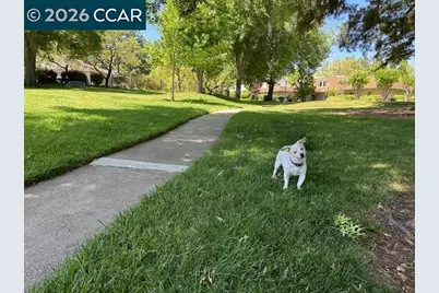 1769 Holland Cir, Walnut Creek, CA 94597 - Photo 2