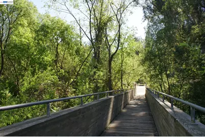 18028 Almond Rd, Castro Valley, CA 94546 - Photo 48