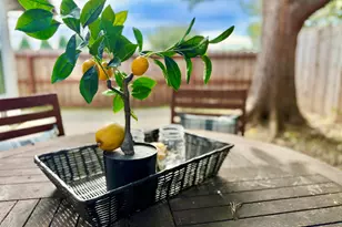 797 Coral Ridge Cir, Rodeo, CA 94572 - Photo 52