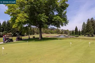 3112 Ptarmigan Dr, Walnut Creek, CA 94595 - Photo 60