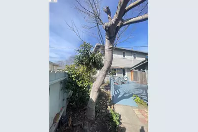 318 Cypress St #D, Alameda, CA 94501 - Photo 16