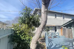 318 Cypress St, Alameda, CA 94501 - Photo 16