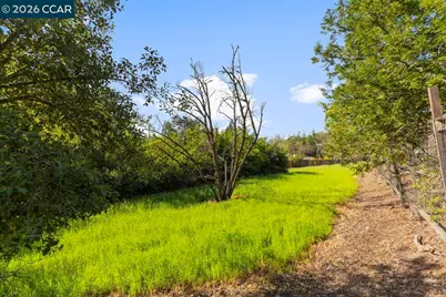 1101 Scots Ln, Walnut Creek, CA 94596 - Photo 10