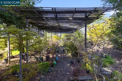 1081 Scots Ln, Walnut Creek, CA 94596 - Photo 10