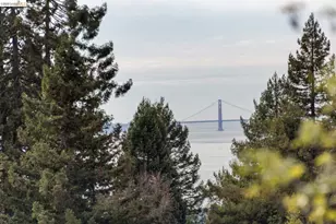 22 Windsor Ave, Kensington, CA 94708 - Photo 14