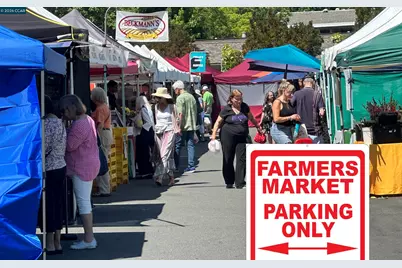 2100 Golden Rain Rd #5, Walnut Creek, CA 94595 - Photo 46