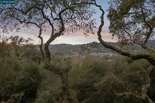 858 Mountain View Dr, Lafayette, CA 94549 - Photo 52