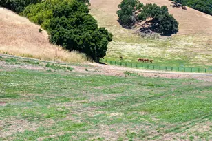 60 Hampton Rd, Martinez, CA 94553 - Photo 34