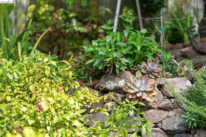 244 Cross Rd, Oakland, CA 94618 - Photo 52