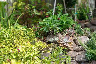 244 Cross Rd, Oakland, CA 94618 - Photo 52