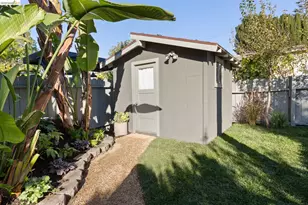 1207 Cornell Ave, Berkeley, CA 94706 - Photo 44