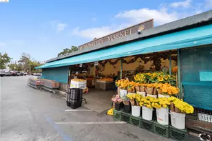 1207 Cornell Ave, Berkeley, CA 94706 - Photo 54