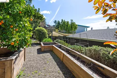 1119 Miller Ave, Berkeley, CA 94708 - Photo 32