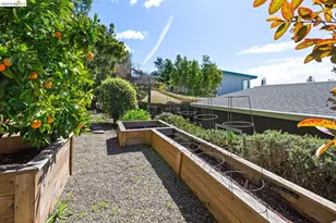 1119 Miller Ave, Berkeley, CA 94708 - Photo 32