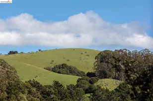 6065 Dimm Way, Richmond, CA 94805 - Photo 14