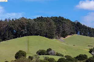 6065 Dimm Way, Richmond, CA 94805 - Photo 14