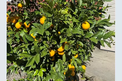 2672 Watson St, Castro Valley, CA 94546 - Photo 26