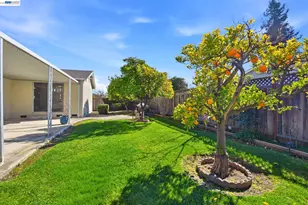 35429 Galen Pl, Fremont, CA 94536 - Photo 46