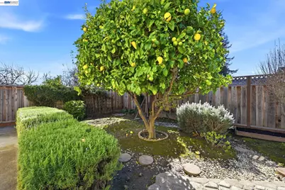 35429 Galen Pl, Fremont, CA 94536 - Photo 48