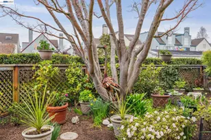 9 Regulus Ct, Alameda, CA 94501 - Photo 24