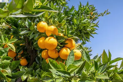 29341 Sandburg Way, Hayward, CA 94544 - Photo 42