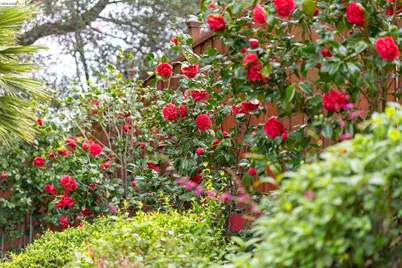 261 Silverado Ct, Oakland, CA 94605 - Photo 50