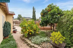 5506 Nebraska Dr, Concord, CA 94521 - Photo 36