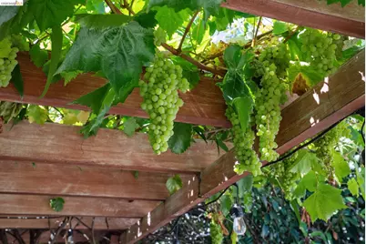 1989 Oakview Dr, Oakland, CA 94602 - Photo 46