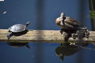 1056 Discovery Bay Blvd, Discovery Bay, CA 94505 - Photo 30