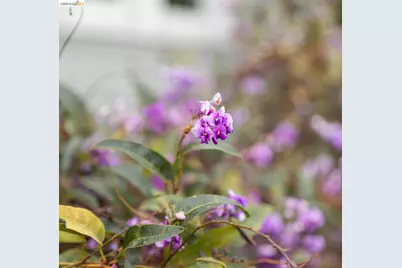 1261 Hearst Ave, Berkeley, CA 94702 - Photo 50