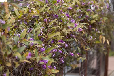 1261 Hearst Ave, Berkeley, CA 94702 - Photo 52