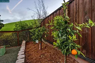 11205 Creekside Ct, Dublin, CA 94568 - Photo 54