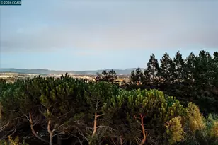 11205 Creekside Ct, Dublin, CA 94568 - Photo 60