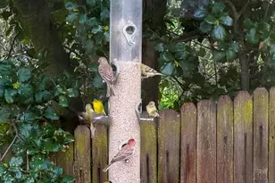 1799 Pomona St, Crockett, CA 94525 - Photo 26