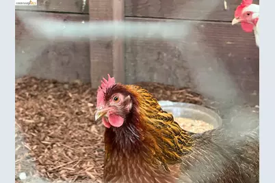 1799 Pomona St, Crockett, CA 94525 - Photo 28