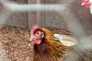 1799 Pomona St, Crockett, CA 94525 - Photo 28