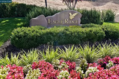 3126 Grey Eagle Dr, Walnut Creek, CA 94595 - Photo 36