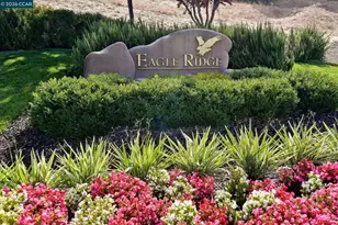 3126 Grey Eagle Dr, Walnut Creek, CA 94595 - Photo 36