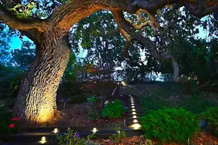 1239 Sunrise Ridge Dr, Lafayette, CA 94549 - Photo 60