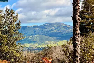 221 Loch Lomond Way, Danville, CA 94526 - Photo 28