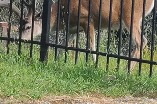 5143 Saddle Brook Dr, Oakland, CA 94619 - Photo 44