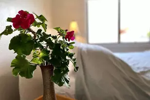 822 A St, Crockett, CA 94525 - Photo 46